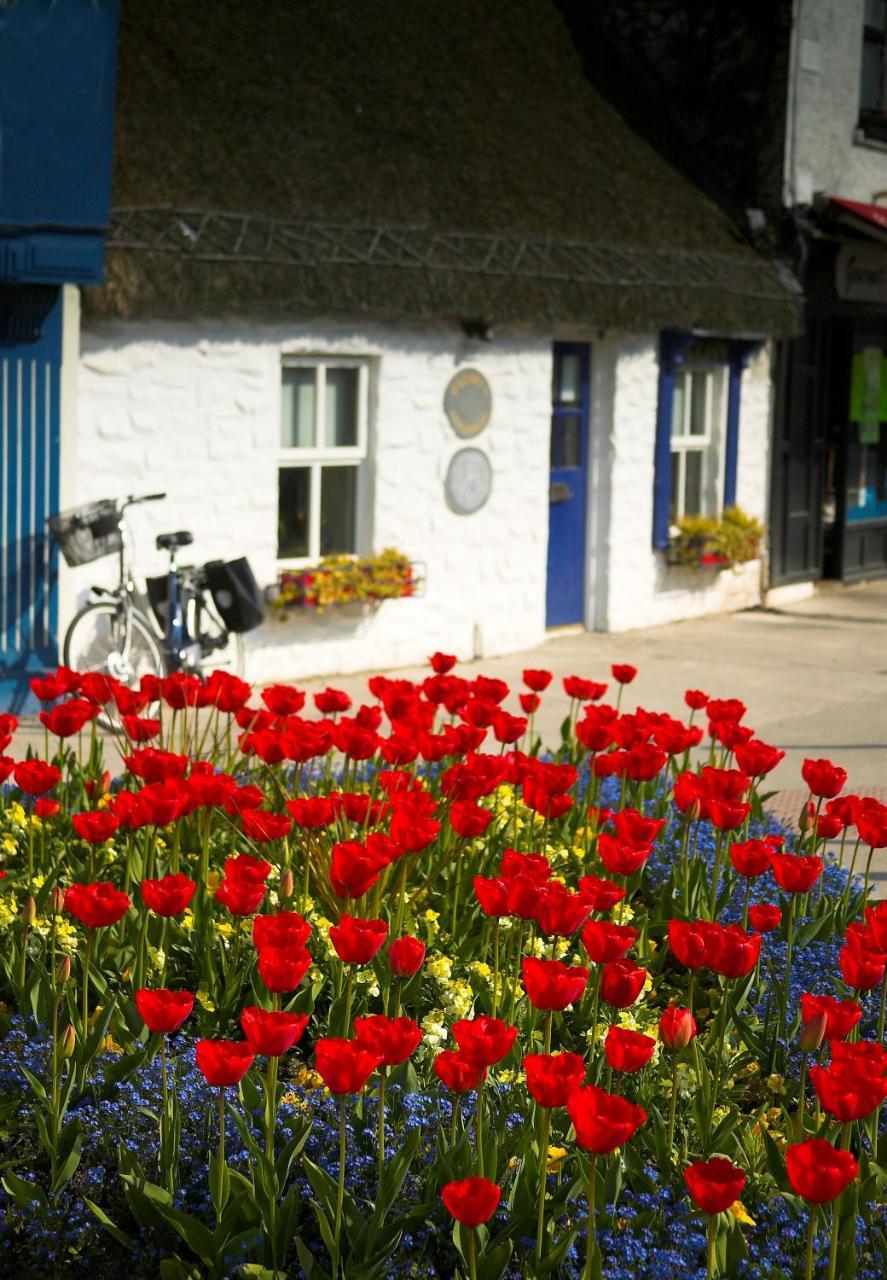 The Redbank Guesthouse Skerries Esterno foto